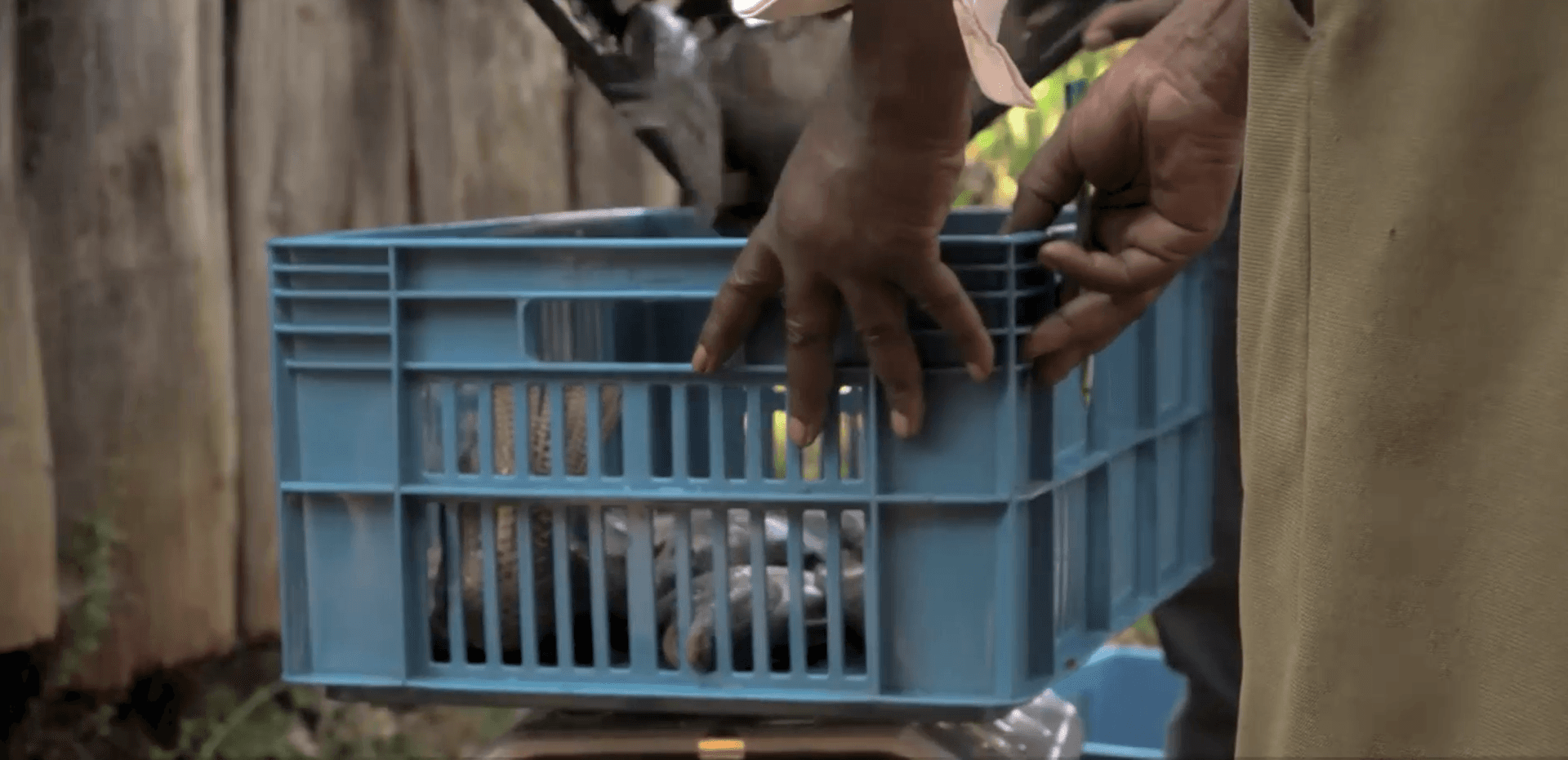 Feeding Cities - the case of Kibera, Kenya by Wageningen University & Research